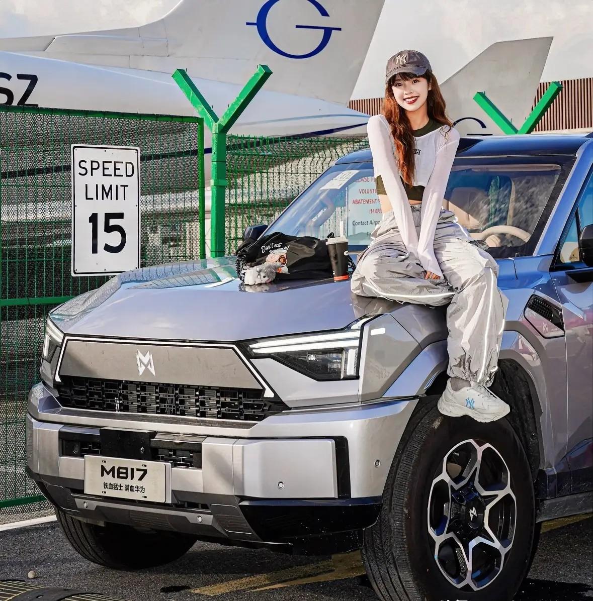 东风汽车彻底失控了！
岚图是东风的，
奕派是东风的，
纳米是东风的，
风行是东风