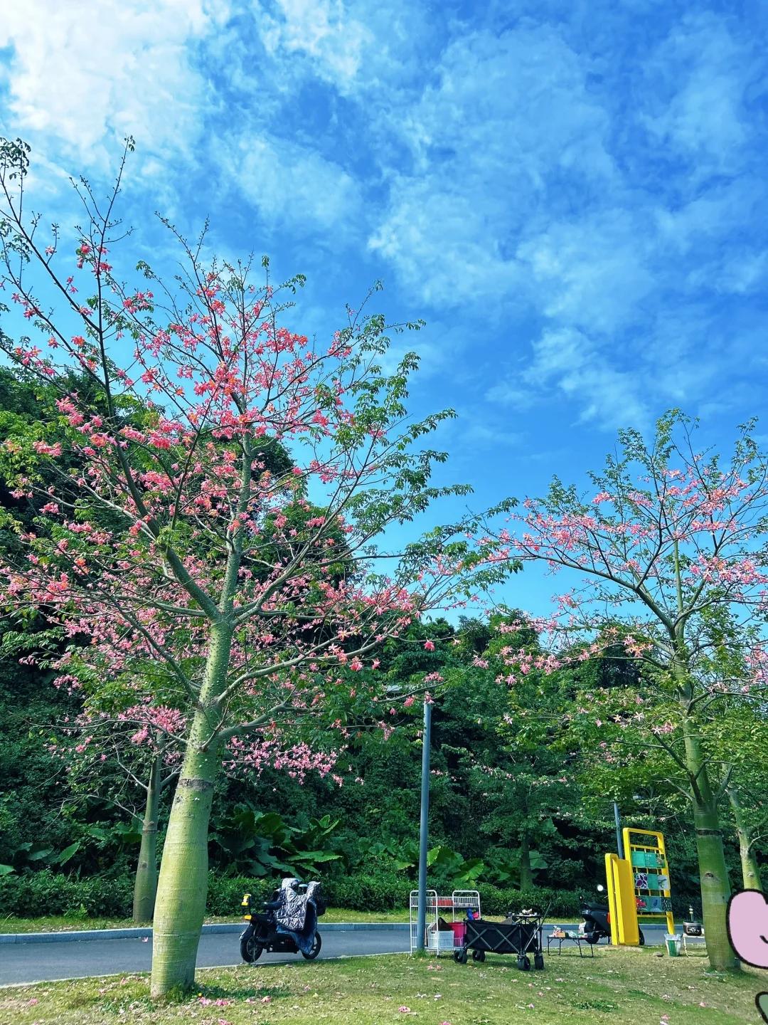 画里一样的风景，梧桐山河碧道。