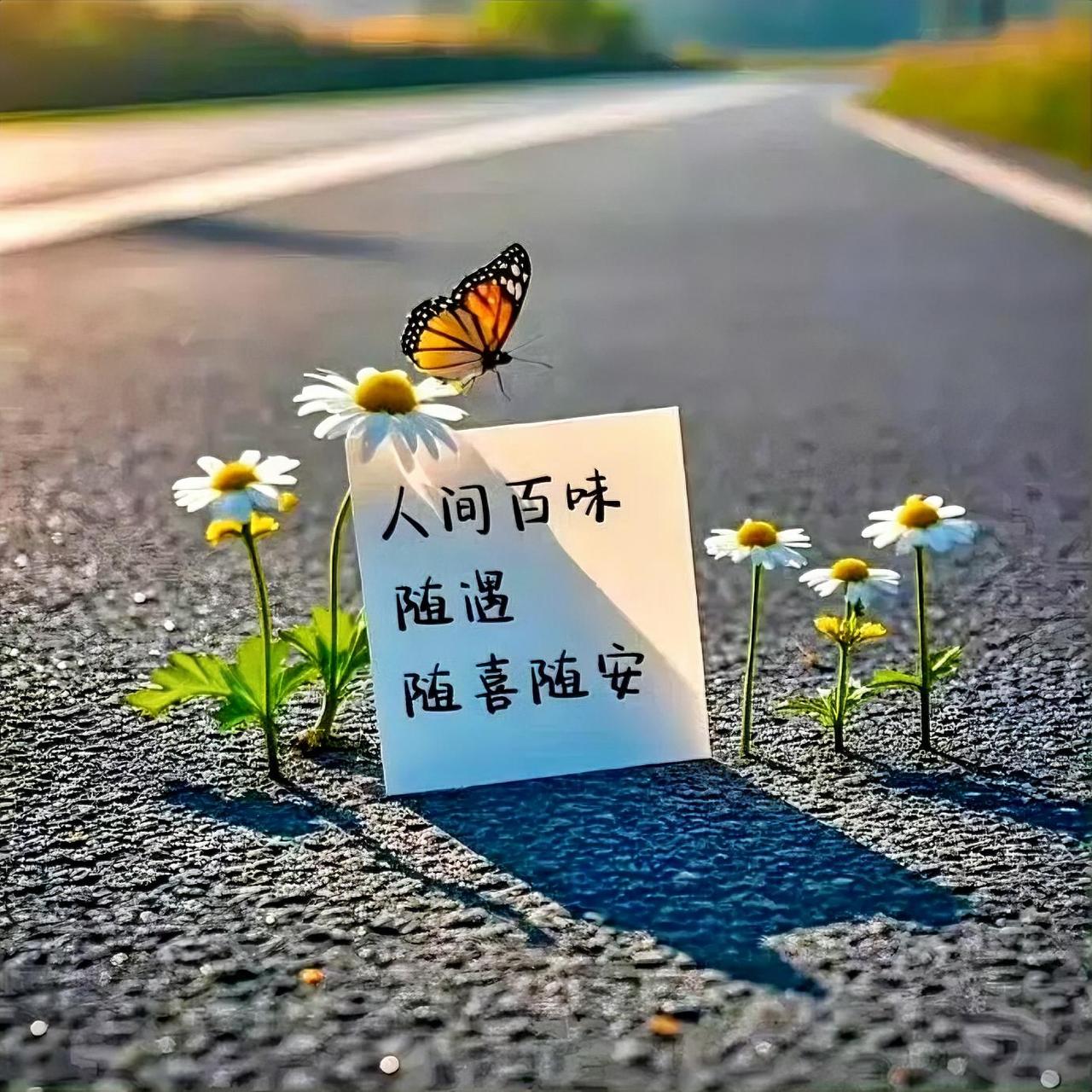 生活最好的样子，
是懂得渡生活的劫，
也懂得谢时光的暖，
烟火人间，
独善其身，