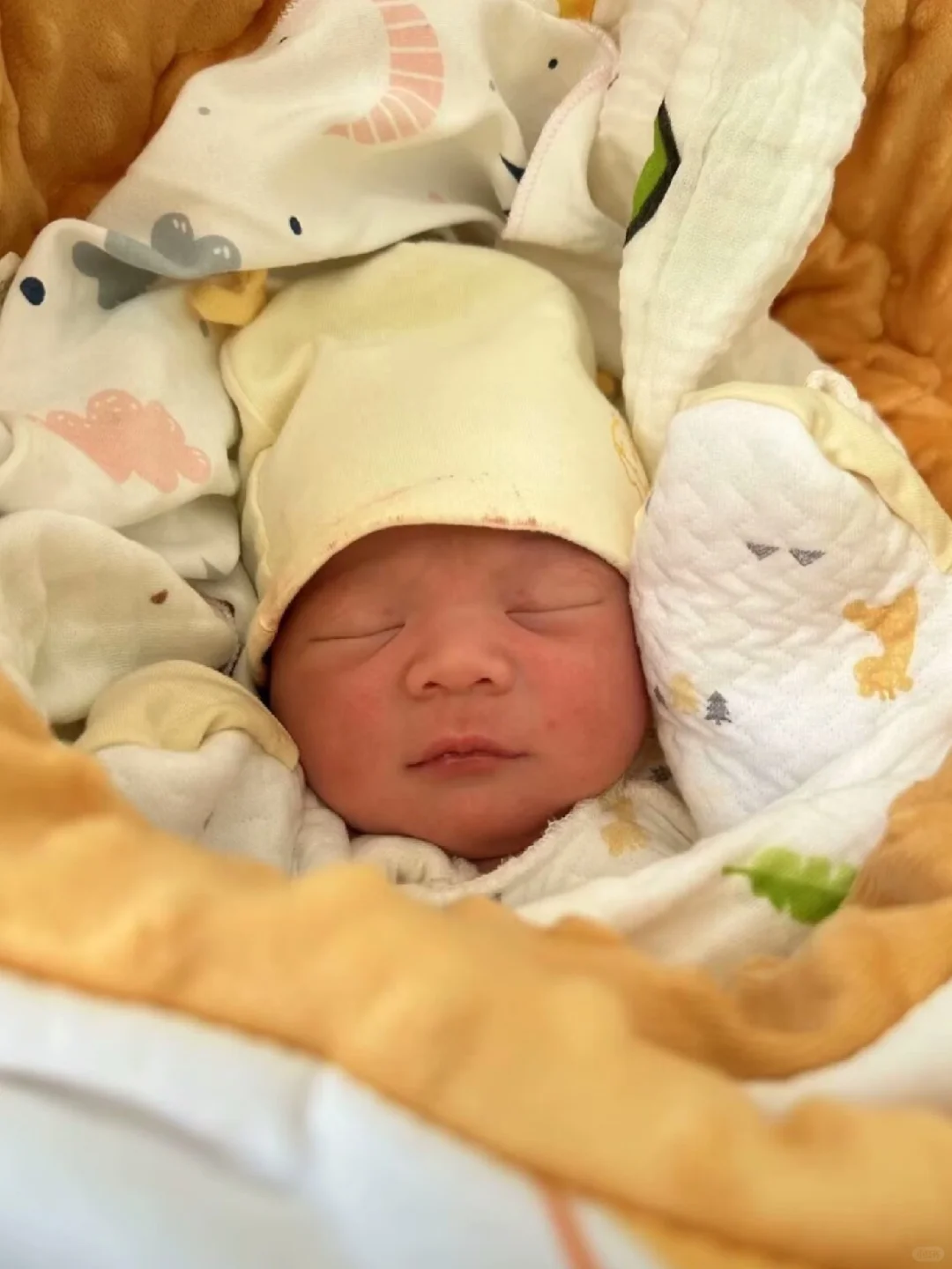 生了，是个儿子6斤3两，可以暂停恭喜一下吗
