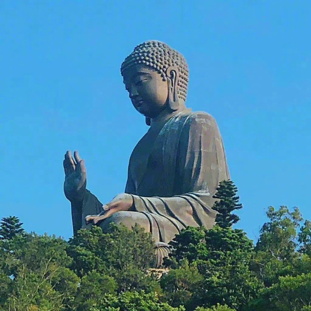 遇到佛祖可以许愿，显灵🙏 ​​​​