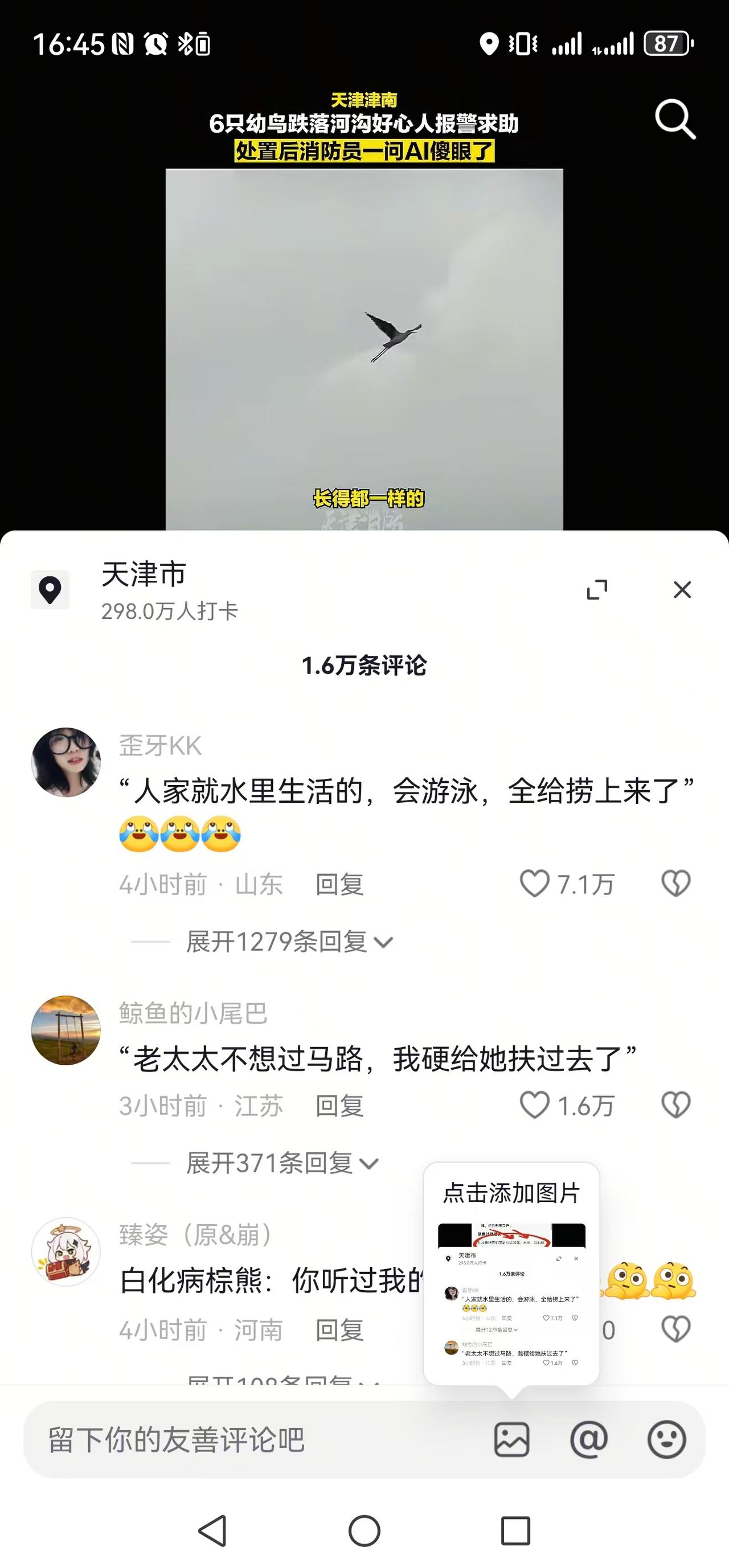 乐死我了，一鸟掉水里了，有人报警，找消防员卡卡一顿操捞。一查，人这鸟就是在水里生