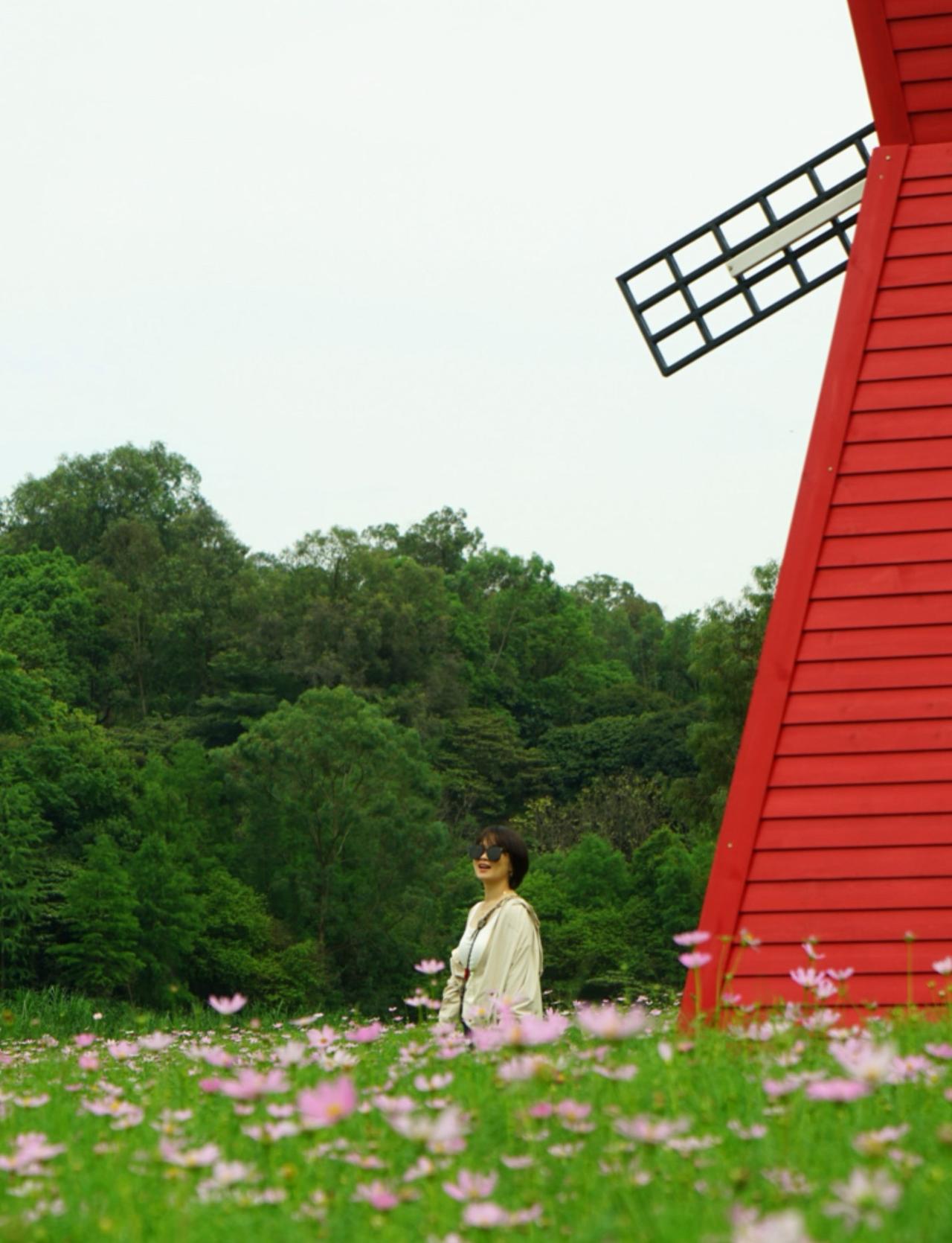 广州｜南沙黄山鲁森林公园❗️徒步赏花🌸
📍广州 黄山鲁森林公园
深圳自驾1小