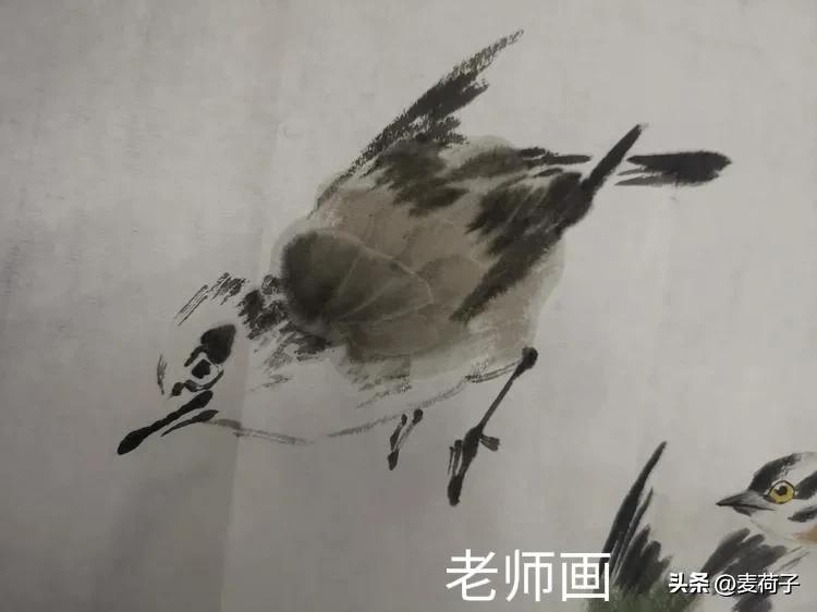 画鸟虫儿更需耐心。

先用细线条勾勒鸟嘴，再画出圆眼睛，注意鸟头部要呈三角形，这