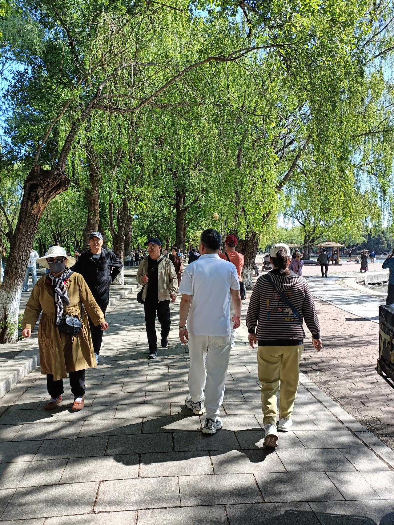 生活就像一场没有剧本的戏，我们常常忙得晕头转向，被工作和人际关系推着走，像个停不