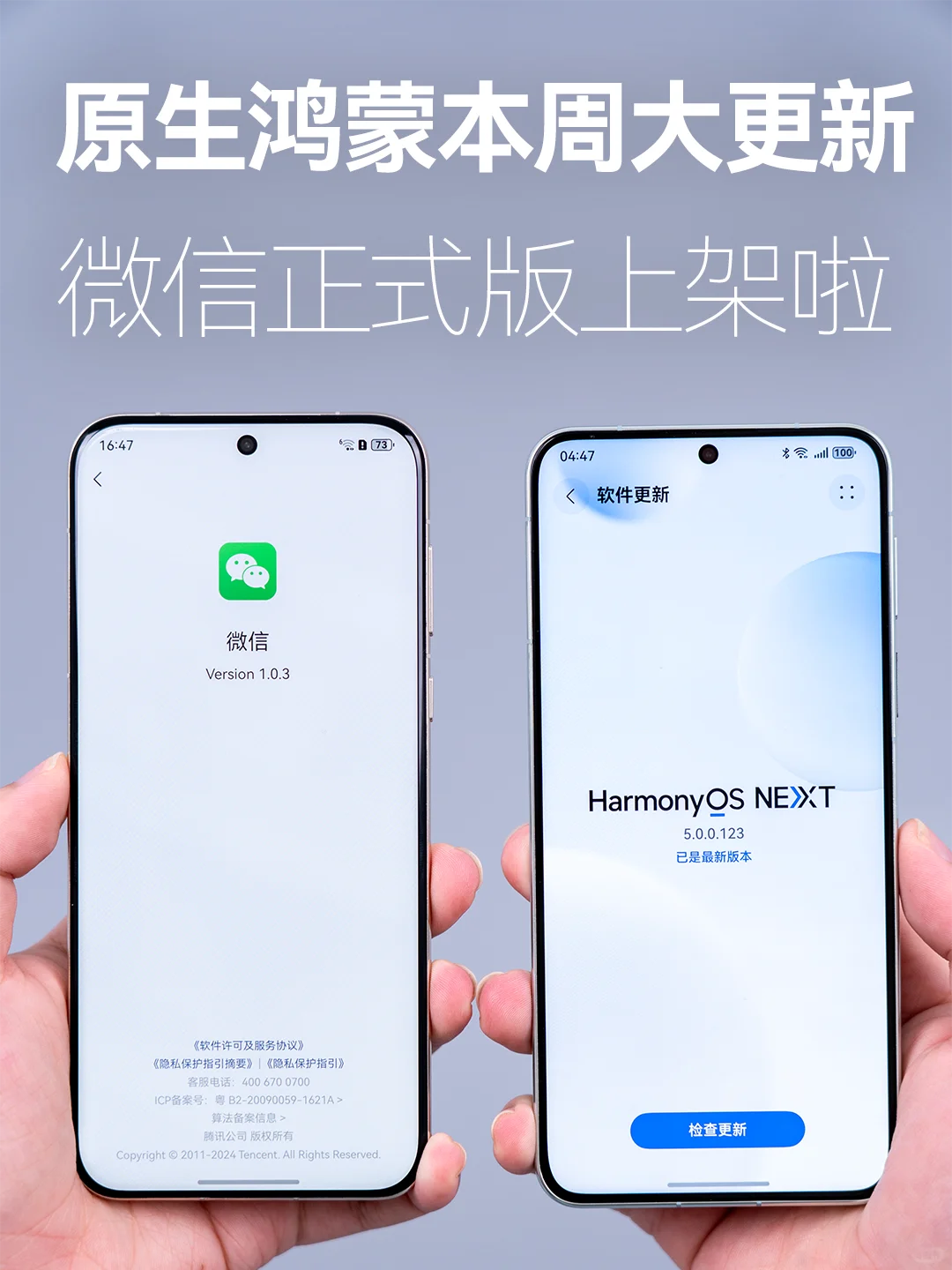 微信正式上架❗鸿蒙NEXT这更新速度绝了！