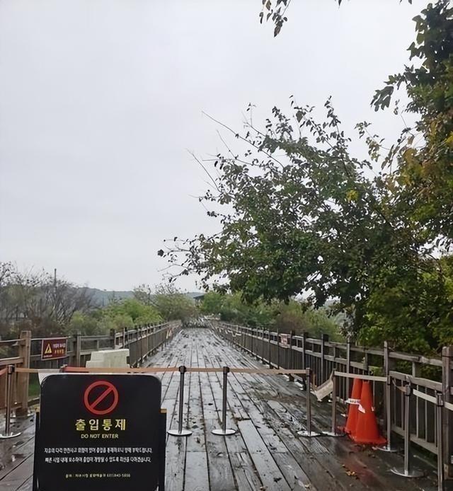 一位韩国人说了一句大实话，别看朝鲜跟韩国现在是敌对关系，但是两国都知道，半岛要想