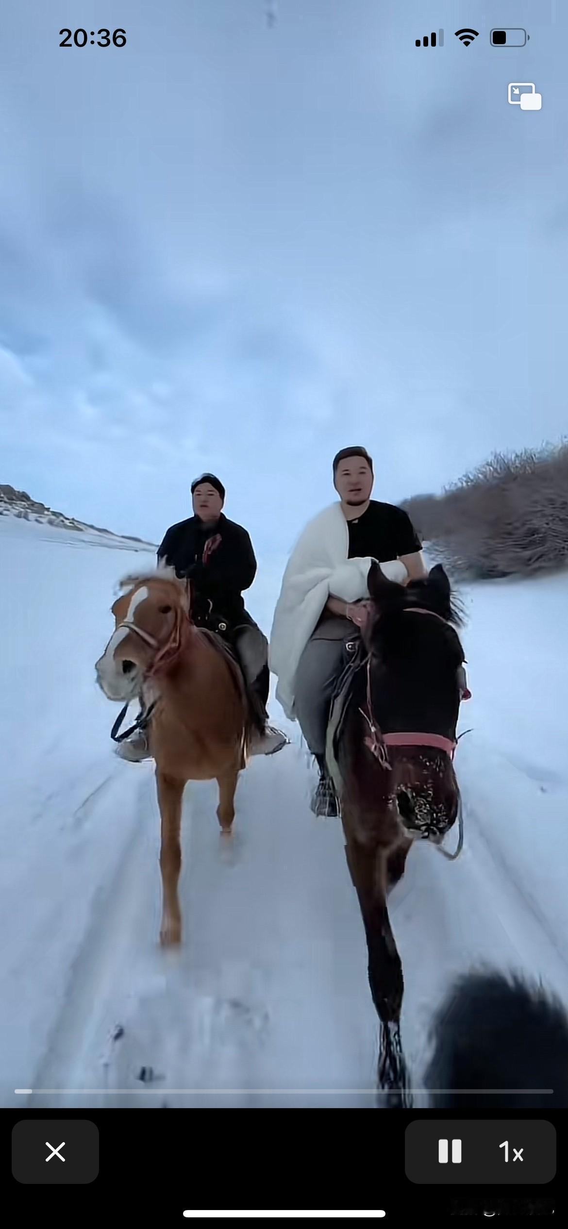 全红婵哥哥开始骑着马儿去找妹妹，觉得全红婵去滑雪就是去跟哥哥相聚的，很多网友又开