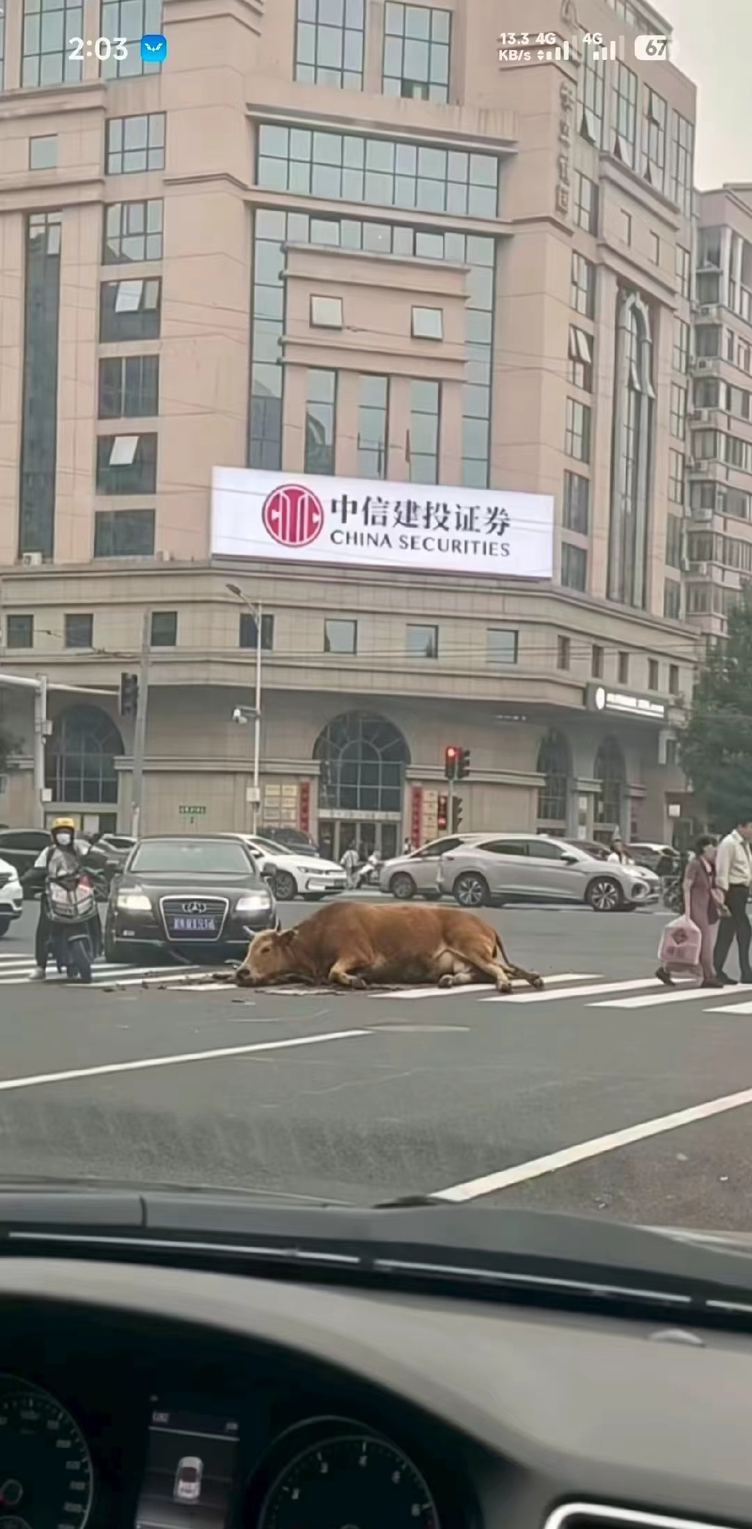 今天大A股暴跌的原因找到了