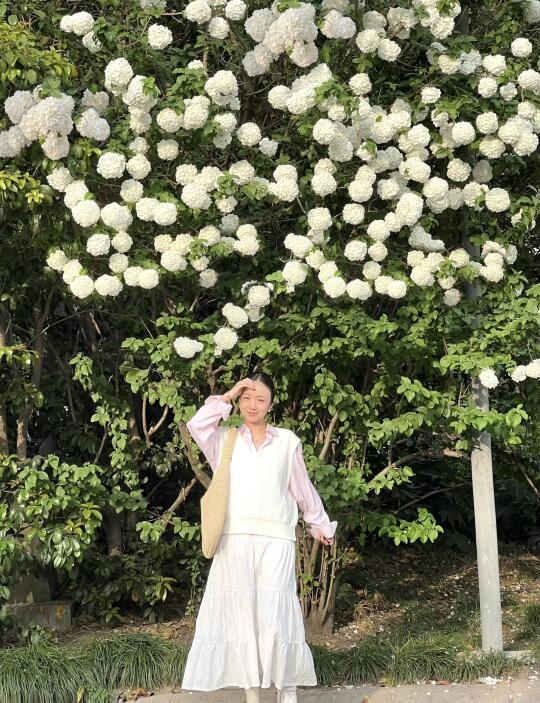 在上海！地铁口一大片木绣球花海｜4.10实况