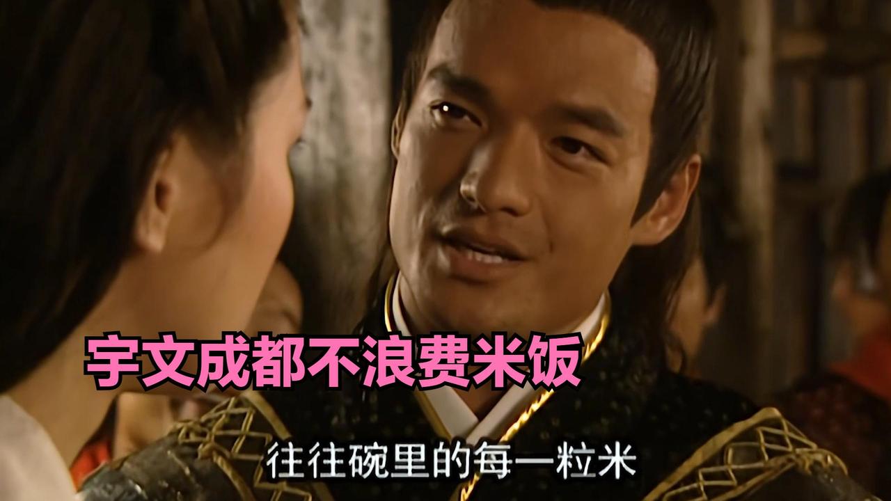 03版的隋唐英雄传可能是宇文成都相对武力定位最低的一版，出场的时候是挺拉风，在杨