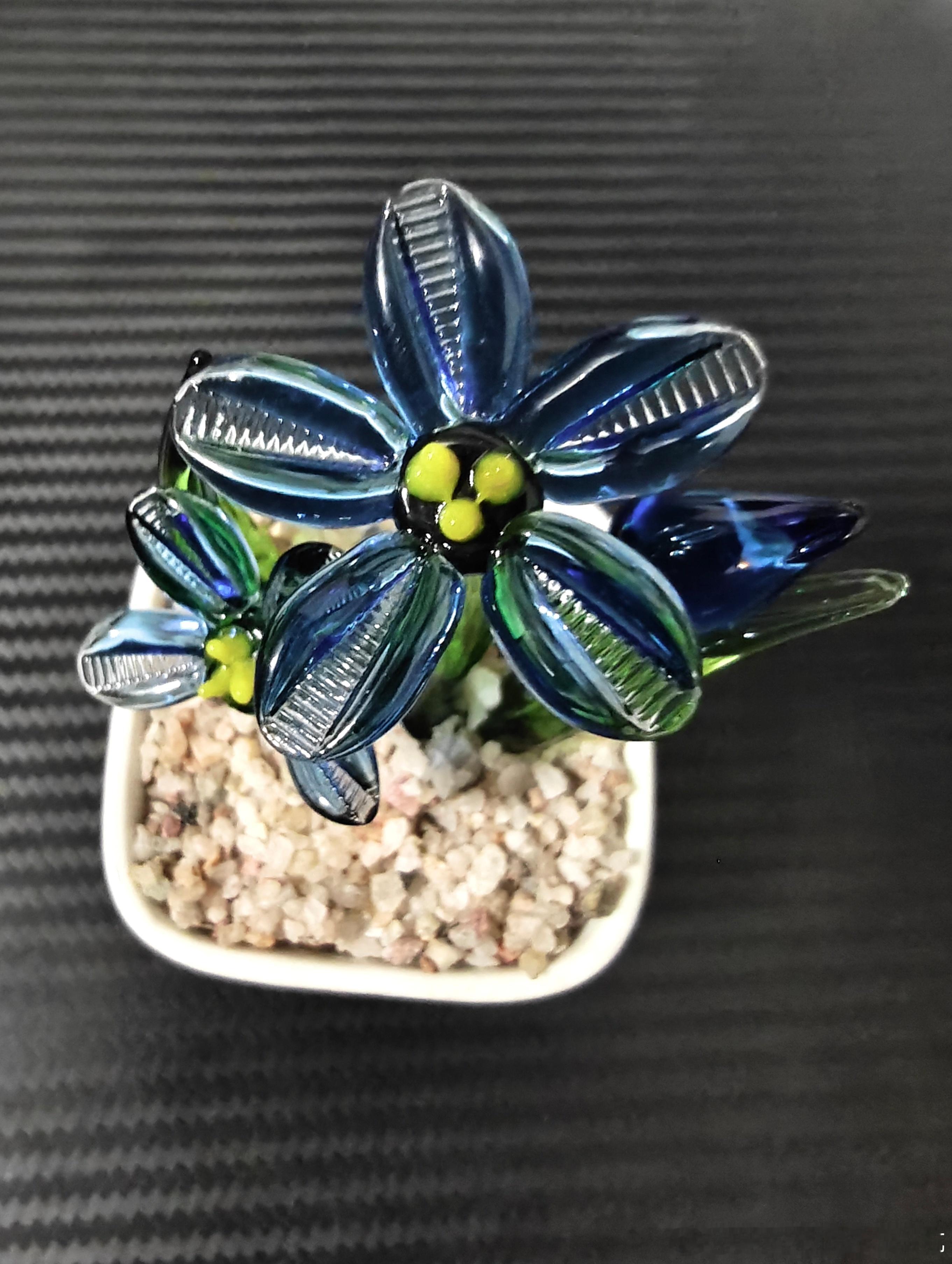 勿忘我仿真玻璃花 🥺prada品牌大使左航