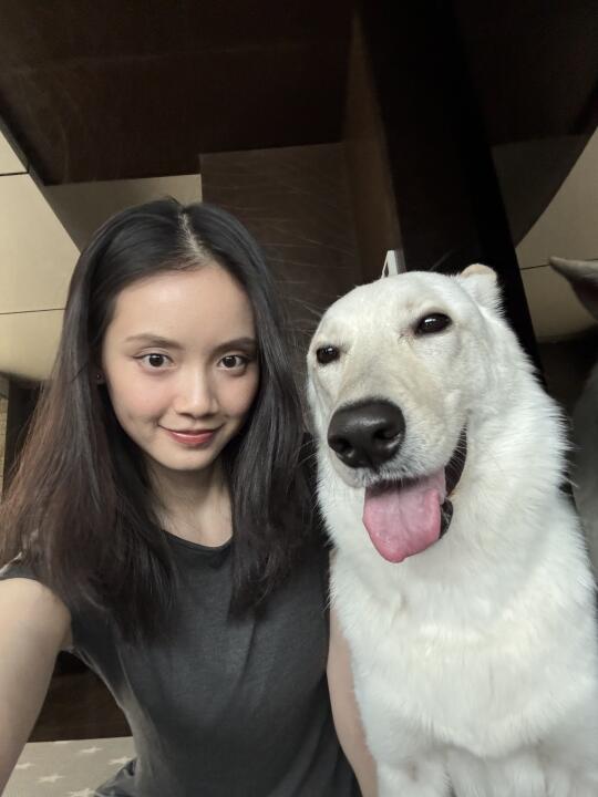 今日宜晒狗🐶