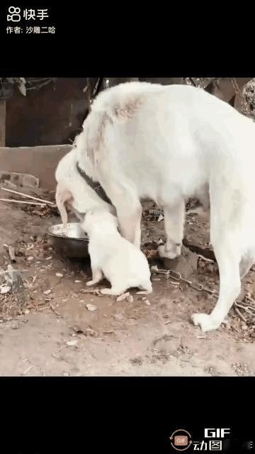 母爱在美食面前不值一提[尬笑]