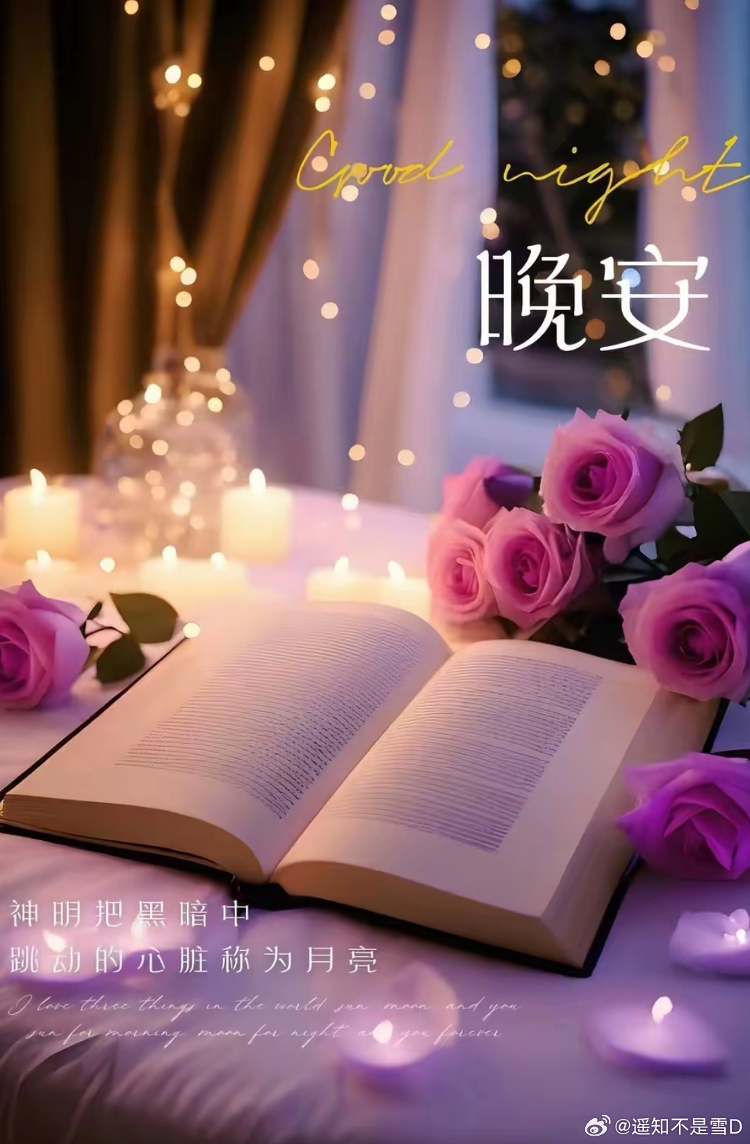 晚安 ♪'愿这夜的寂静为你带来最甜蜜的梦境，晚安，愿你有个美好的夜晚。 