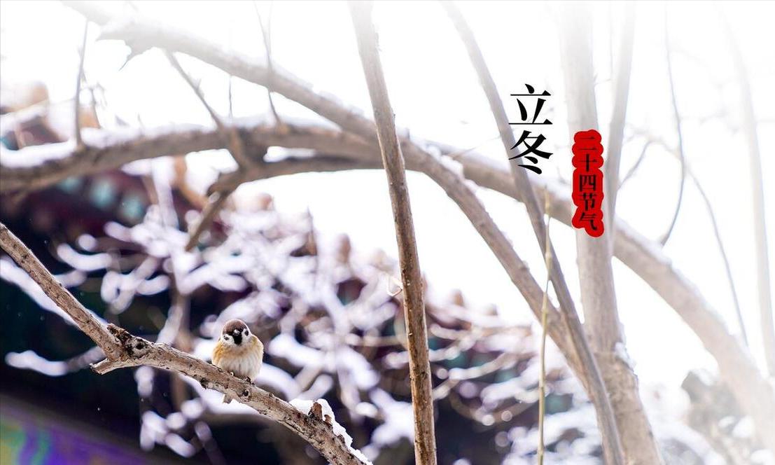 今年立冬真的不一般！60年一遇，4大特点，今年冬天会冷到哭吗？
今年的立冬来得特