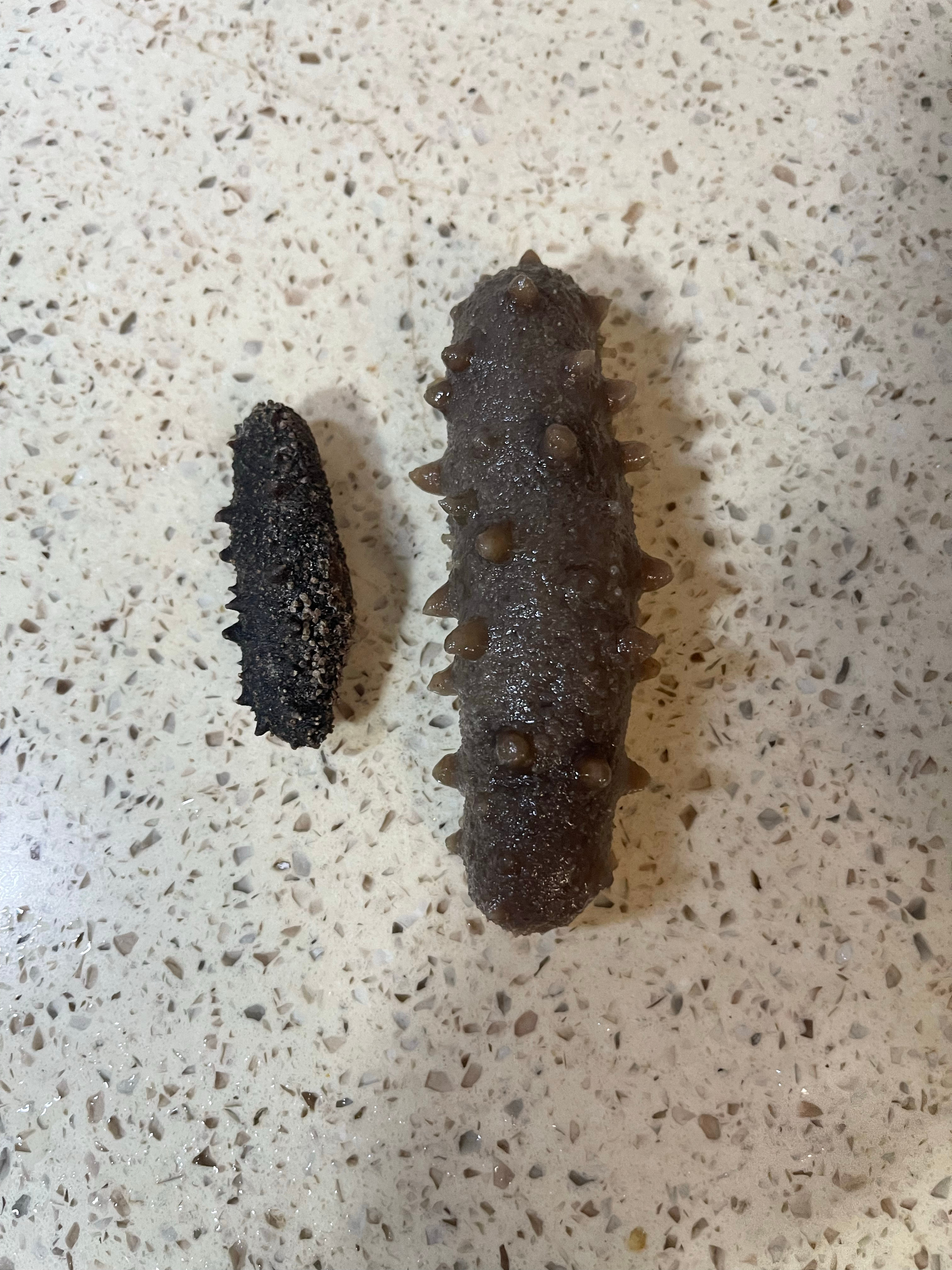 有人说泡发海参很难，其实很简单，只管放清水里给予时间就行。看看我这个泡发出来的前