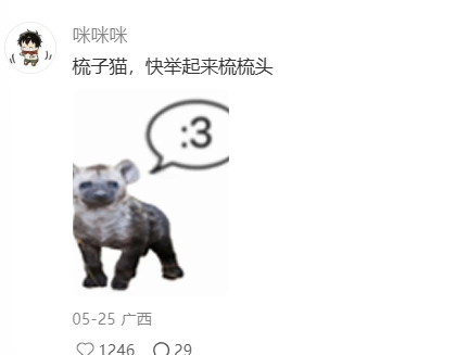 这个角度就很有意思了 四个爪整整齐齐 