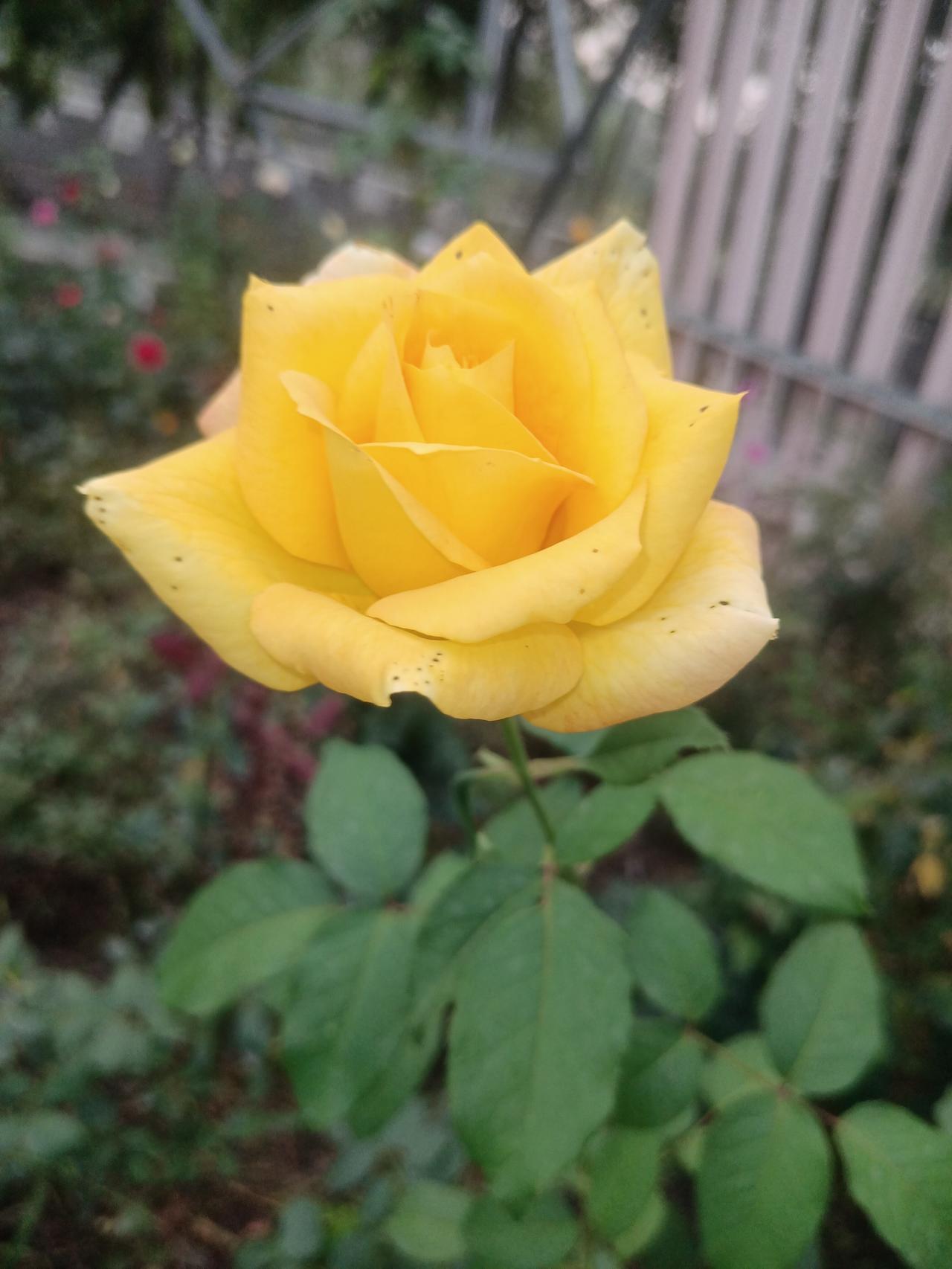 悲哀，自己想开些吧！还有很长的路要走。