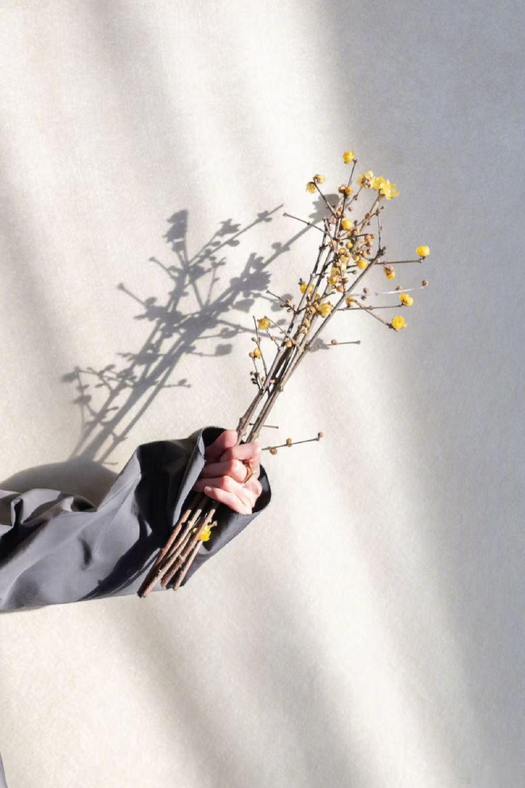 杨幂腊八祝福杨幂祝大家万事周全杨幂祝大家万事周全杨幂