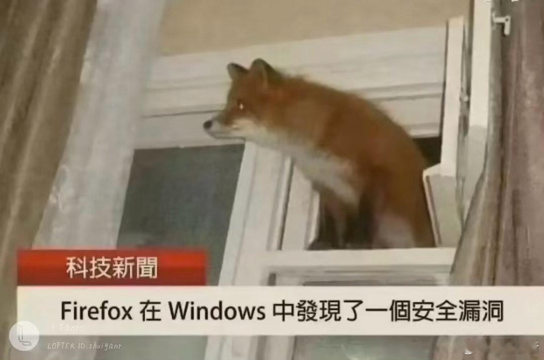 今日更新：What the fox say~ ​​​