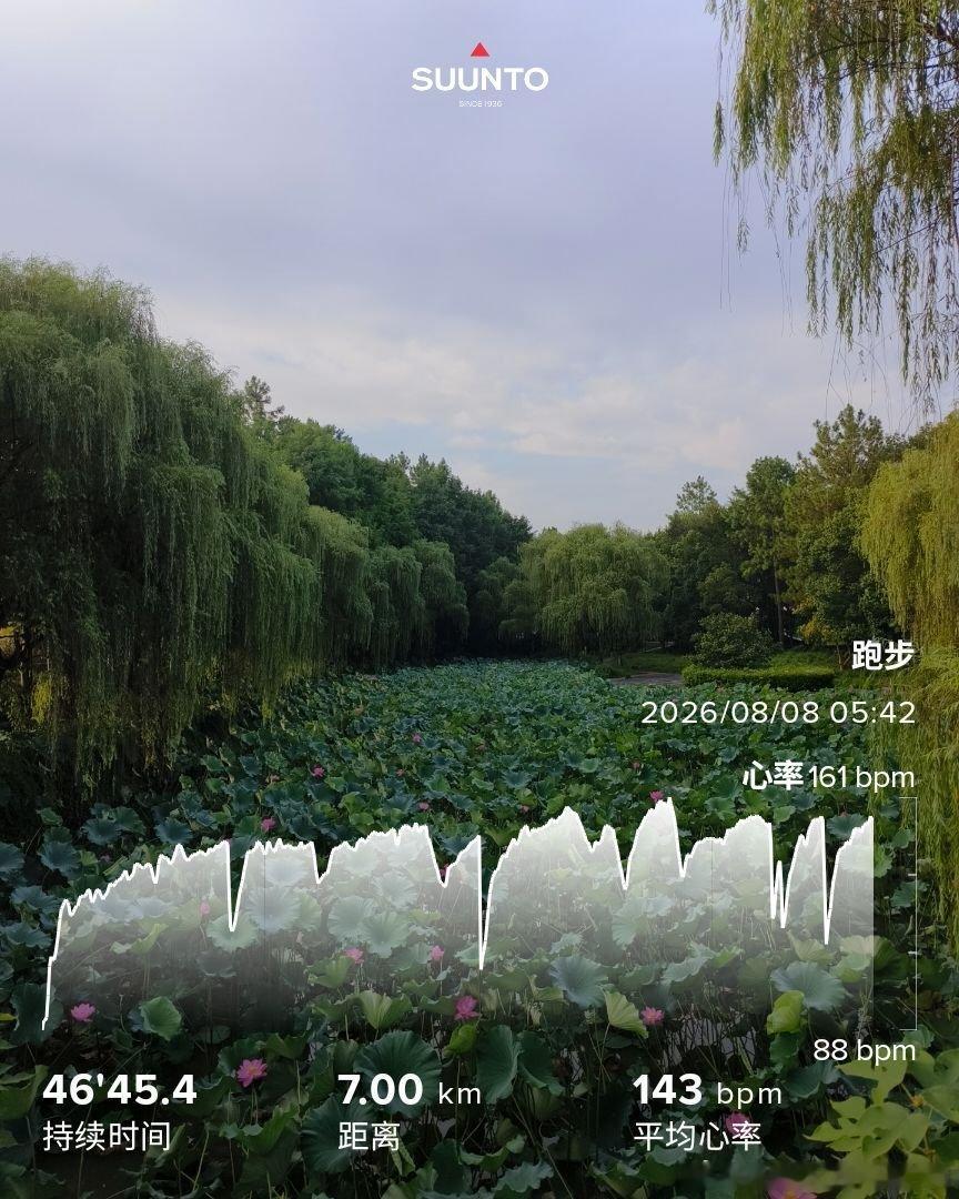 早晨的一个小时，随心所欲地跑，累了走走，看看学校里的花花草草。台风还没有来，台风
