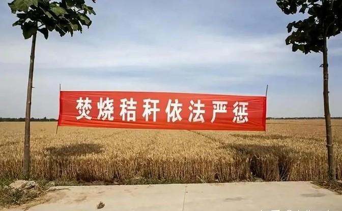 农民焚烧秸秆，本想肥田省农药，结果专家说这是污染空气，违法要罚款，还可能被拘留1