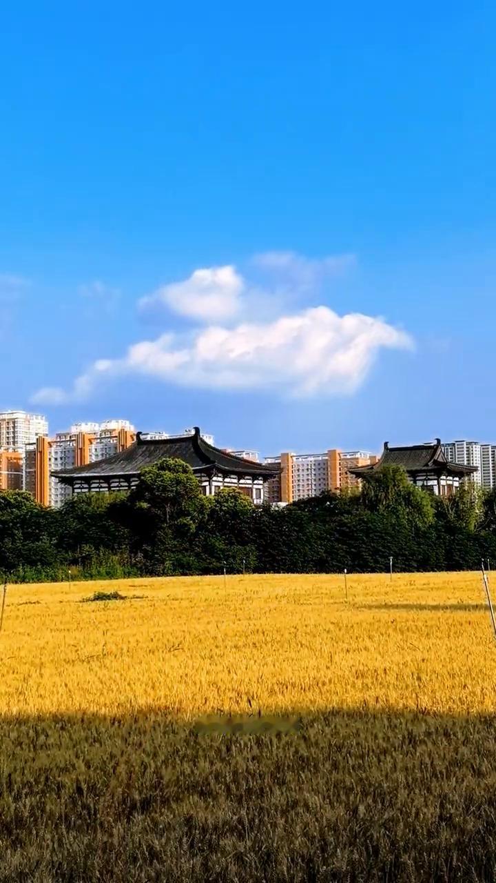 小满快乐。
2026年5月21日-农历四月初五。小满节气到，愿你收获满满、快乐满