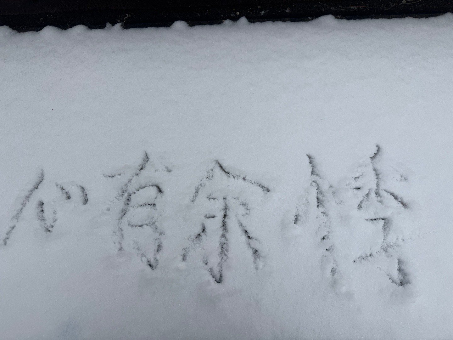 娱乐主包给我写的‎⋆꙳•̩̩͙❅*̩̩͙‧͙ ‧͙*̩̩͙❆ ͙͛ ˚₊⋆ 