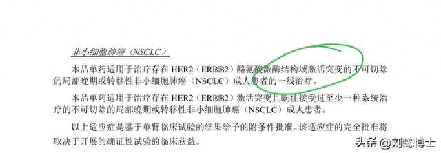 刘懿博士说肺癌（一二〇八九）晚期肺癌HER2突变能直接吃靶向药么