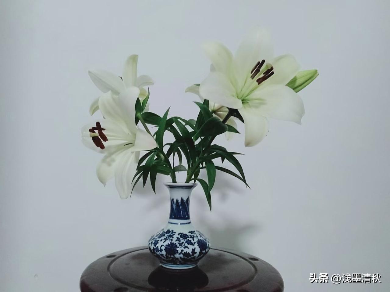 打心底里瞧不上的人，我们压根懒得去说半句坏话。刻意去抹黑别人，纯属拉低自己的档次