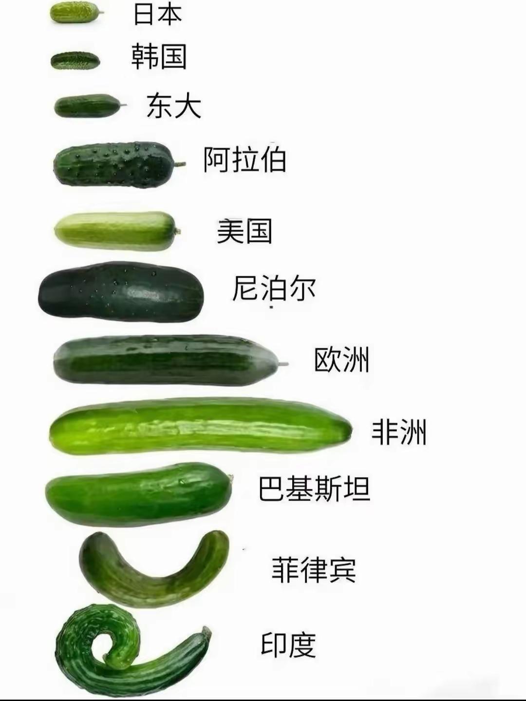能看懂这张图的，都是过来人，懂得都懂！
只是印度那弯曲变形的，着实让人惊讶😺