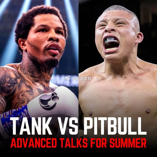 拳坛速递 杰尔冯塔-戴维斯（Gervonta Davis） vs “斗牛犬 ”伊