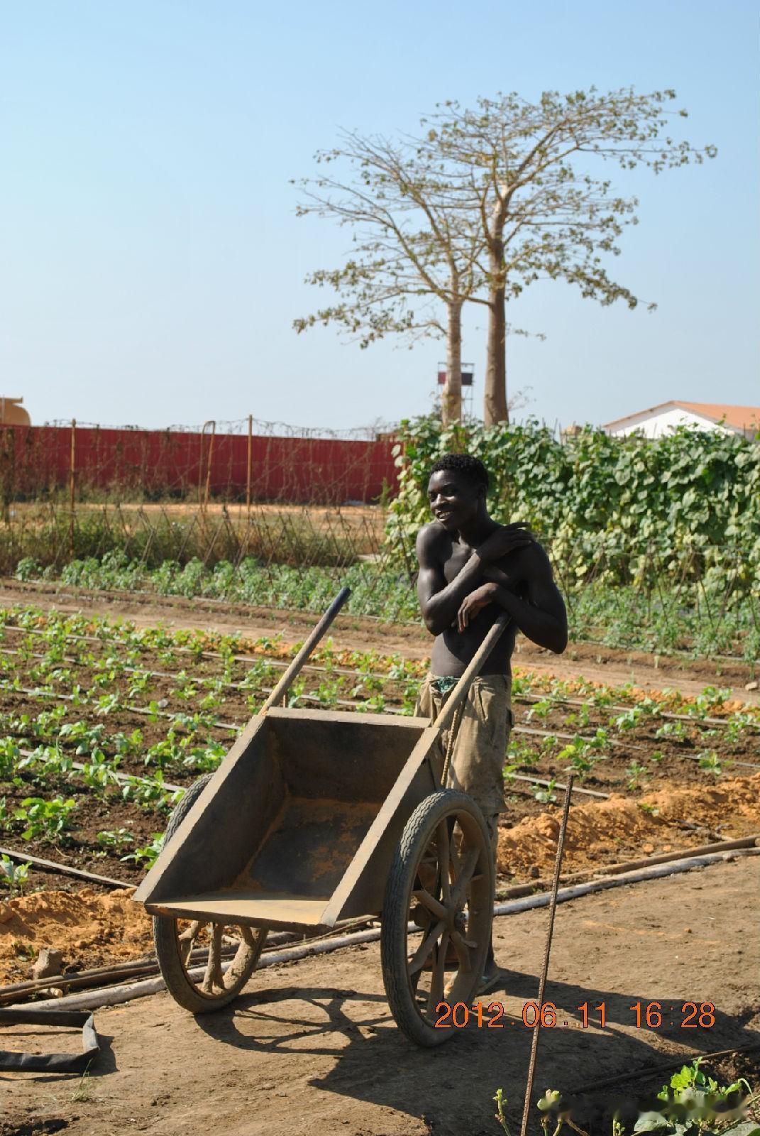 #非洲为什么这么穷这么落后#
非洲穷是有道理的。主要原因是当地人懒惰、贪婪，再加