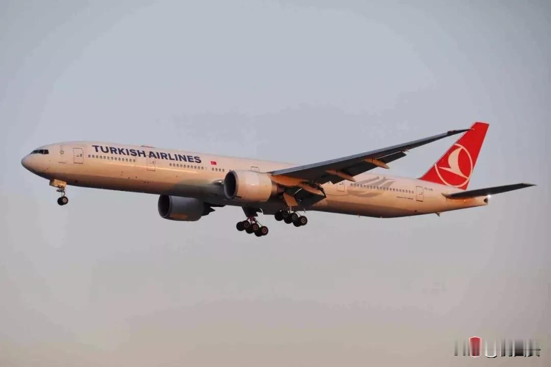 土耳其航空确定西安、成都及乌鲁木齐为新增航点，或为未来开通航线铺平道路。与此同时
