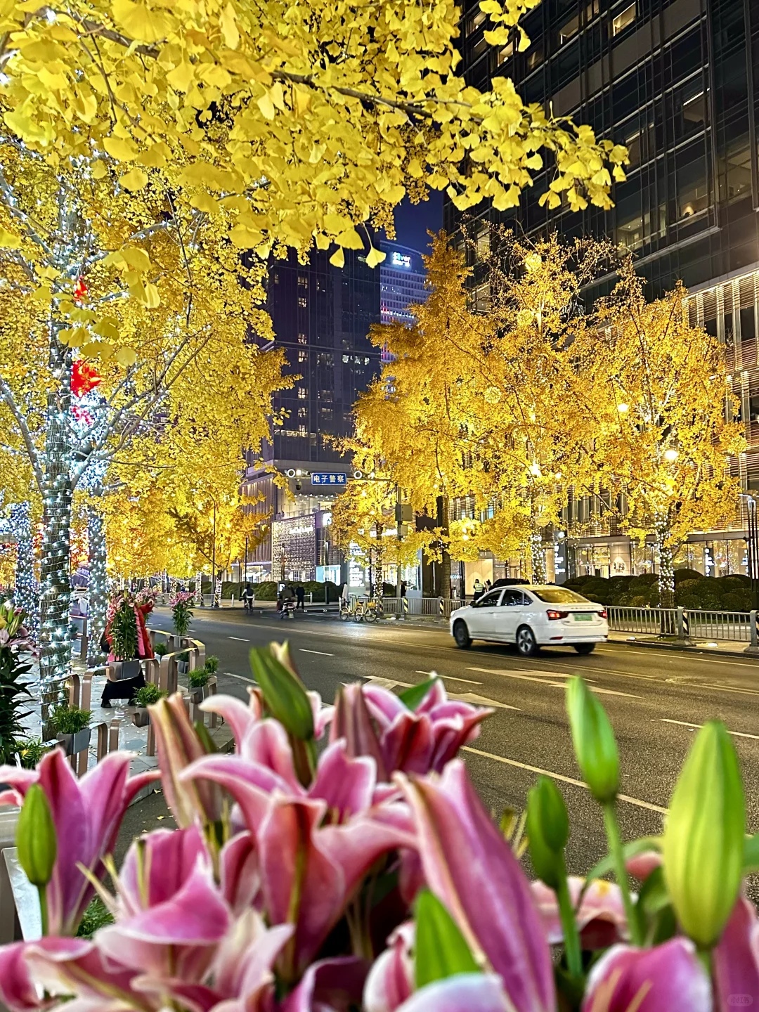 成都人自己的六本木🎄夜晚圣诞氛围感绝了❗️