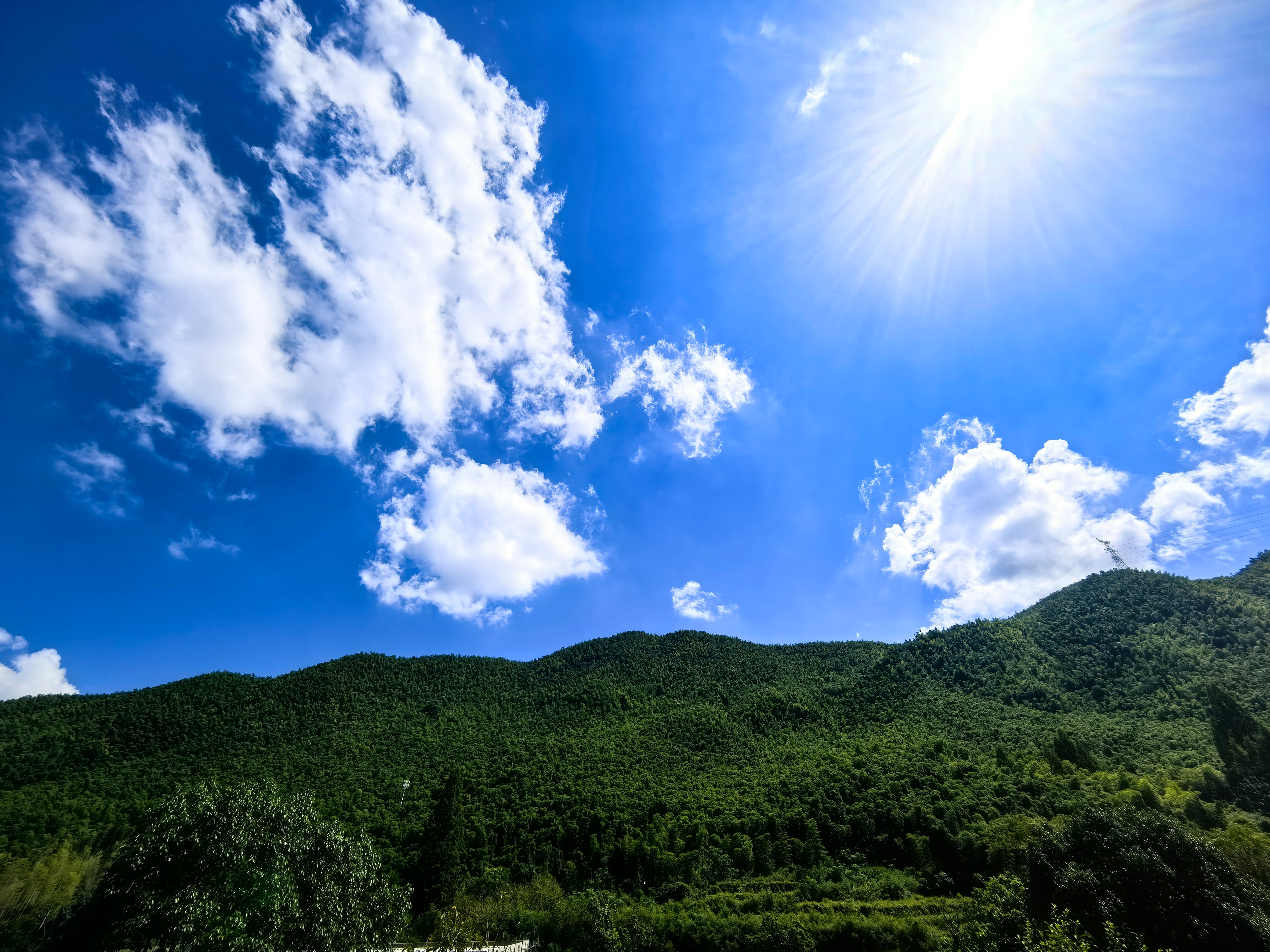 今天发天气真好呀☀️☀️☀️（晴空万里[团圆时刻]）虾 什么事情都想告诉帅哥肖战