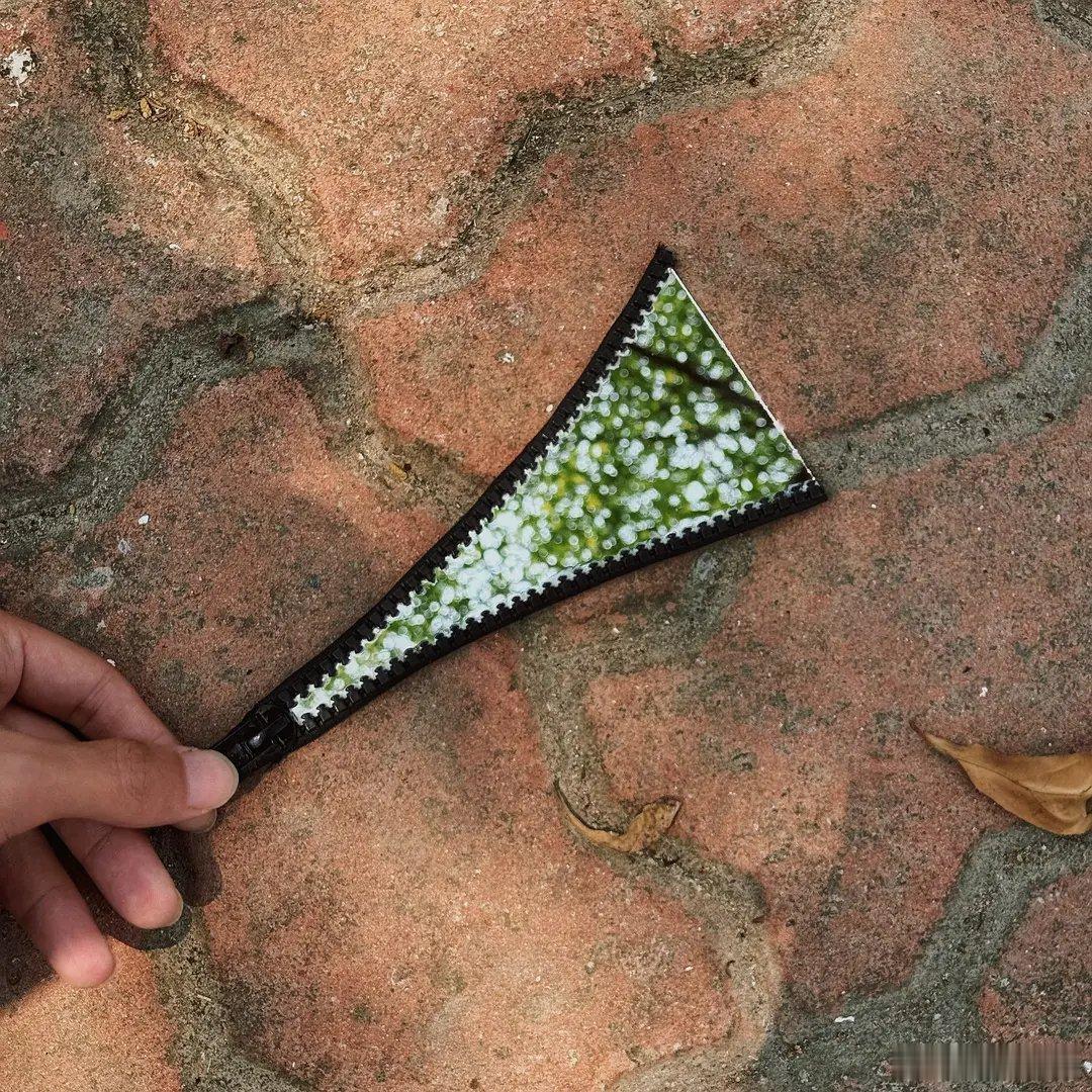 在AI横行的年代，同事依旧坚持手搓 