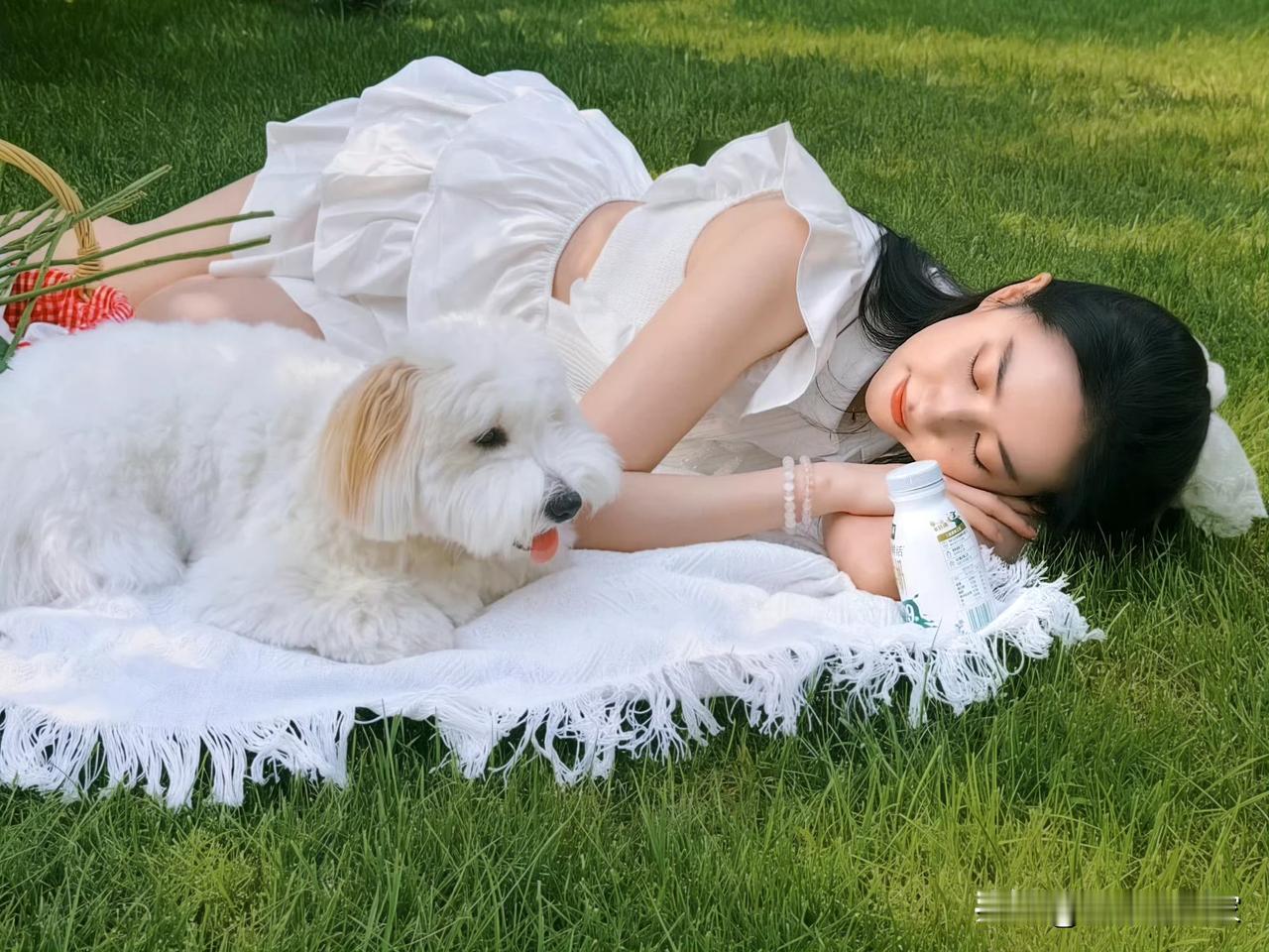 刘亦菲～悠闲午后，与爱犬共享自然时光。