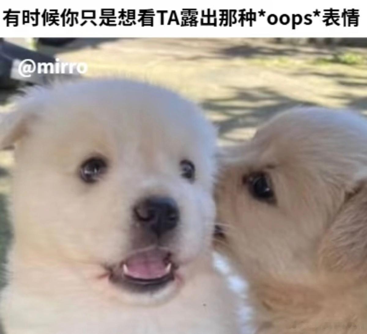 这个好呀这个 
