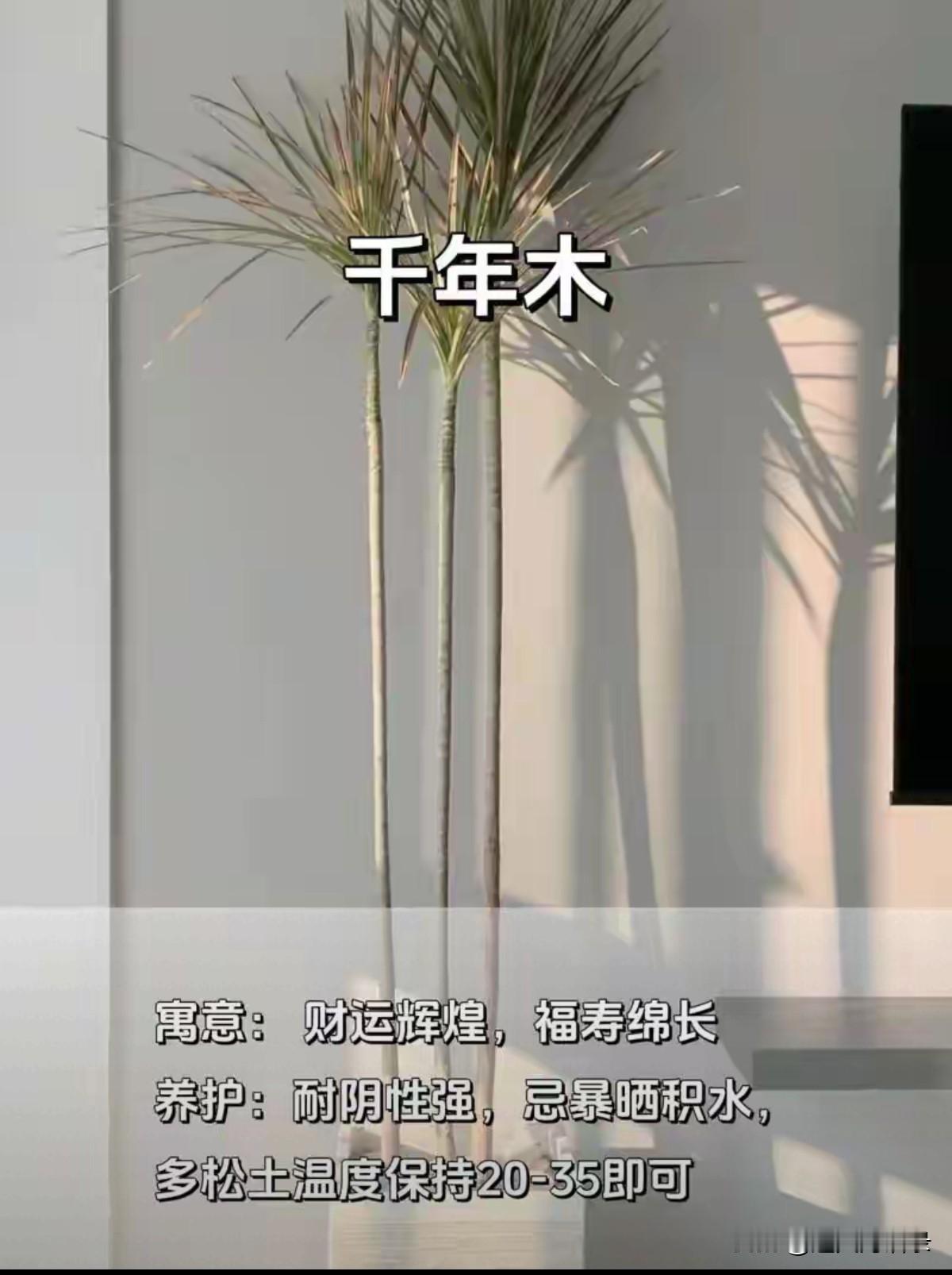 生活就在当下，就在当下的每一秒里。过去已经过去，化为云烟。将来，只是对未知的期待