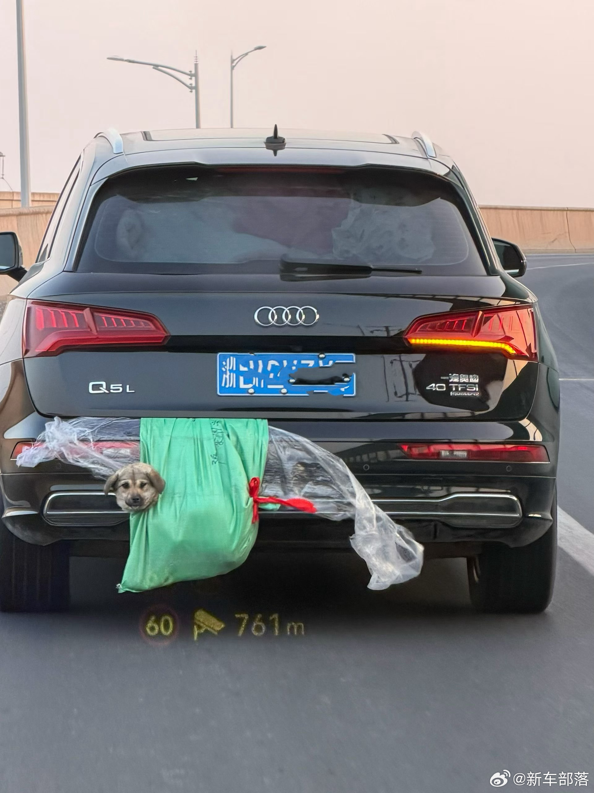 一个都不能少，回家过年春节