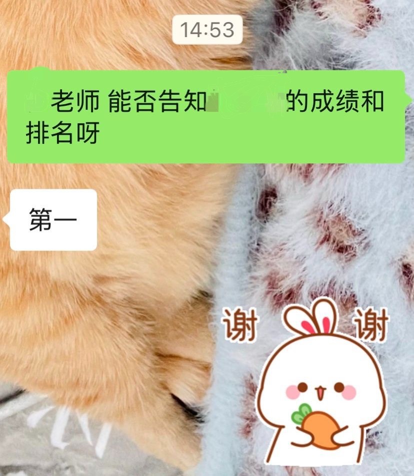 岑先生  复习这段时间跟小朋友生气生太多了，还好没白生气🥹小马儿也辛苦了我骂小