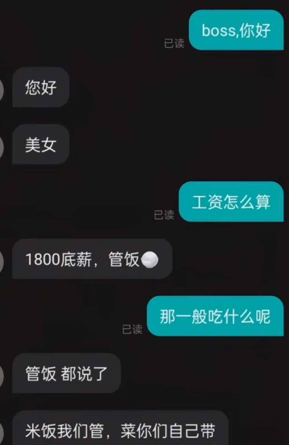 波丝直屁 ​​​
