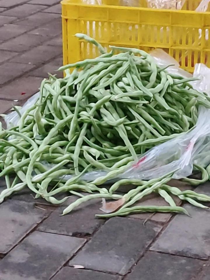 记录我的2026焖豆角