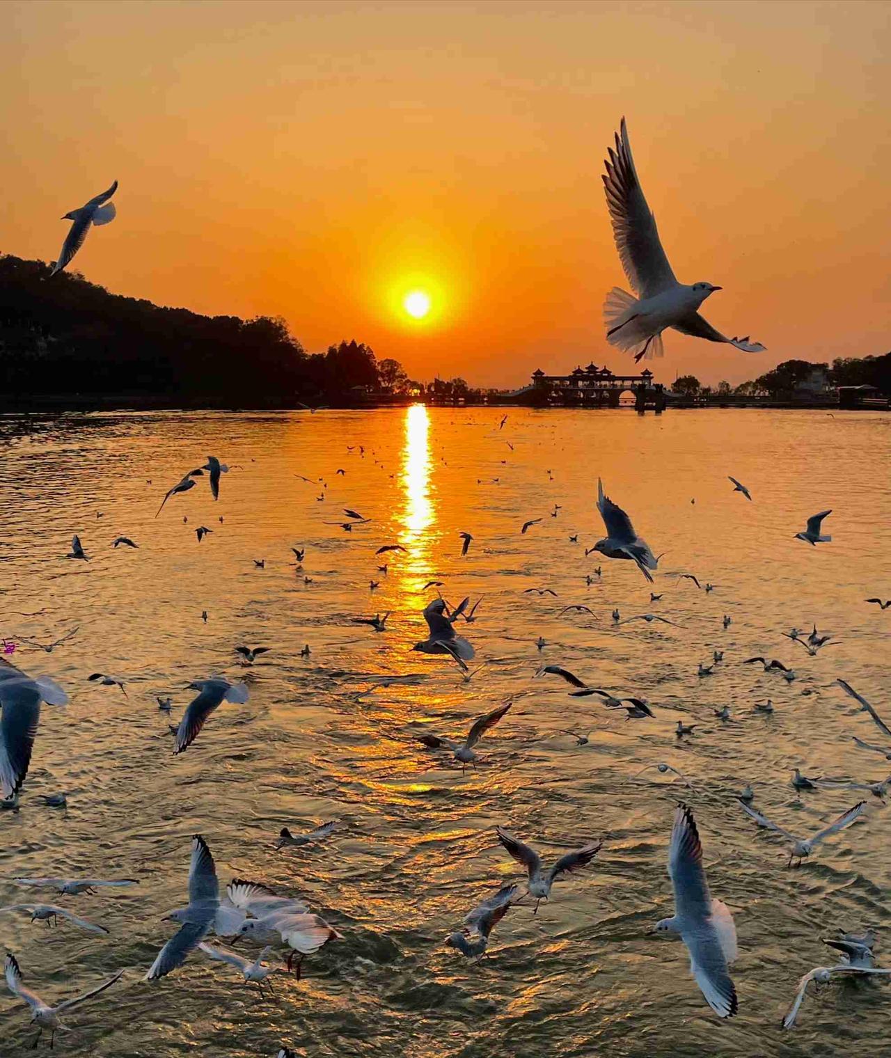 我的今日状态：🥲强颜欢笑
我这里的天气：⛈️雷雨