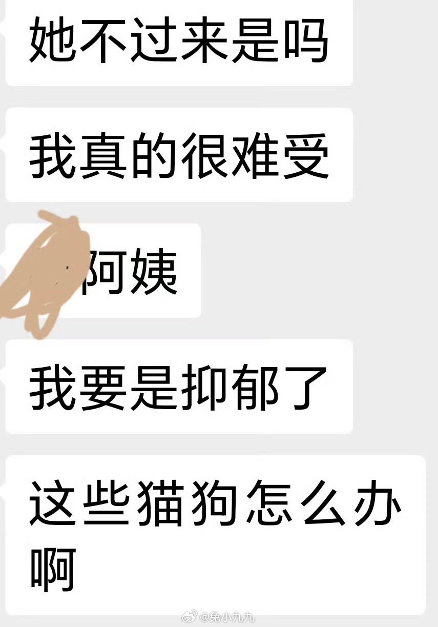 哈哈哈哈哈哈哈哈哈聊天记录看了都让人恶心，弄丢猫的自己送上门的聊天记录（也可能是