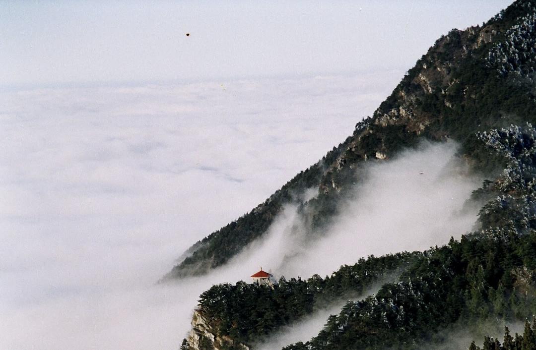 春日登庐山！5A级景区限时免票 高铁畅行尽享诗意春光
 
三月春意盎然，云雾氤氲