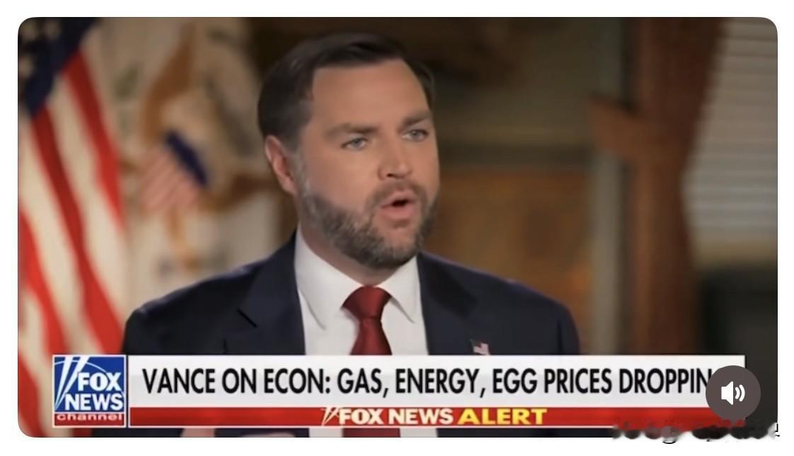 美國🇺🇸副總統 JD Vance 證實：川普政府將透過「大規模驅逐非法移民＋