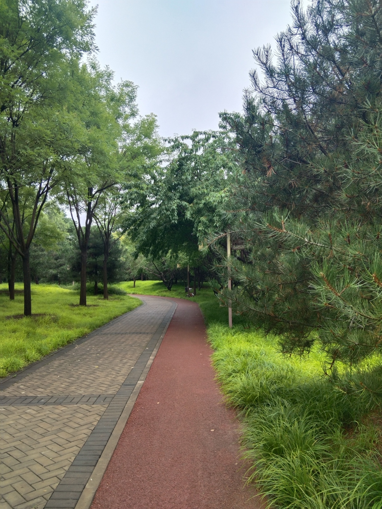 雨打梨花深闭门。 下雨了。从昨晚十点左右，一直断断续续下了一整夜……迷人打卡地 
